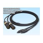 SAEC Dedicated Terminal 3m SHC-B300FH65 balance ⇔  Earphone Cable Japanese version