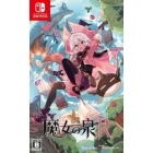 Spring R normal version of the SHINSEGAE I&C witch Nintendo Switch Japanese version