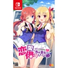 Entergram Love borrowed Normal version Nintendo Switch Japanese version