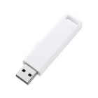 Sanwa Supply UFD-SL4GWN 4GB White USB Flash Drive Japanese version