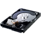 WESTERN DIGITAL WD10JPVT 1TB 9.5mm Internal Hard Drive Japanese version