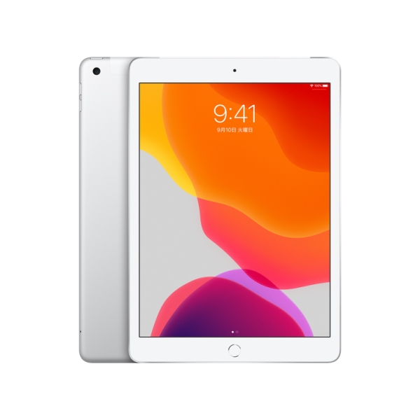 Apple iPad 10.2 inch 7th gen Wi-Fi + Cellular 128GB Fall 2019 model MW6F2J/A SIM-free Silver Tablet