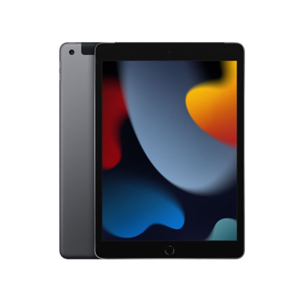 Apple iPad 10.2 inches 9th Generation Wi-Fi+Cellular 256GB Fall 2021 Model MK4E3J/A SIM-Free Space Gray