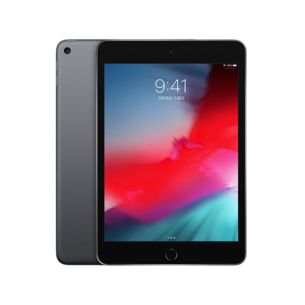 Apple iPad mini 7.9 inches 5th Generation Wi-Fi 256GB Spring 2019 Model MUU32J/A Space Gray