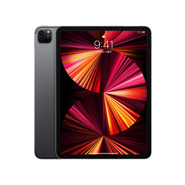 Apple iPad Pro 11 inches 3rd Generation Wi-Fi+Cellular 2TB Spring 2021 Model MHWE3J/A SIM-Free Space Gray