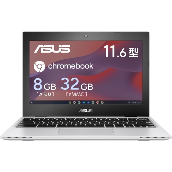 ASUS Chromebook CX1 CX1102CKA-N00059 transparent silver Notebook