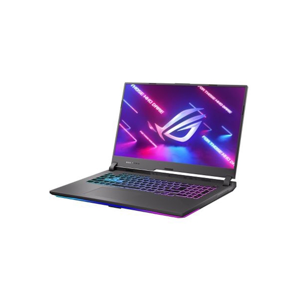 ASUS ROG Strix G17 G713IE G713IE-R7R3050T2Y eclipse gray Notebook