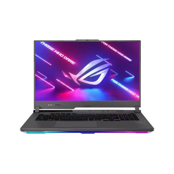 ASUS ROG Strix G17 G713PI G713PI-R99R4070 eclipse gray Notebook