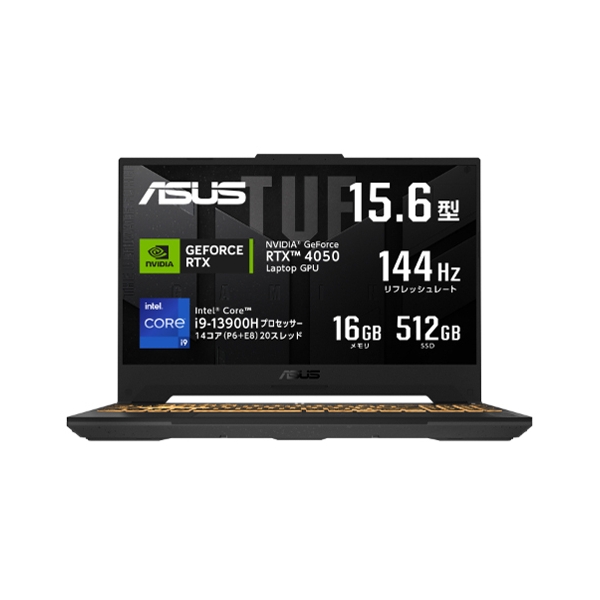 ASUS TUF Gaming F15 FX507VU4 FX507VU4-I9R4050 machine gray Notebook