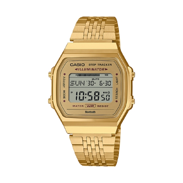 Casio Casio Collection STANDARD ABL-100WEG-9AJF Watch