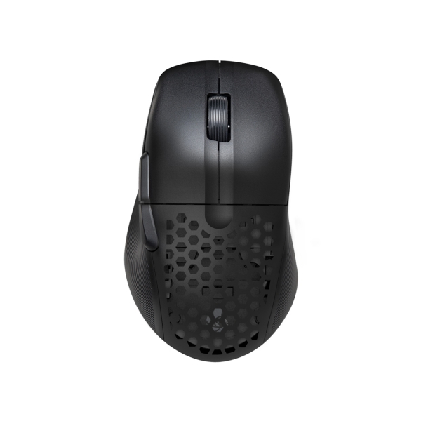 Century RACEN CRC-WGMRGB01 black Mouse