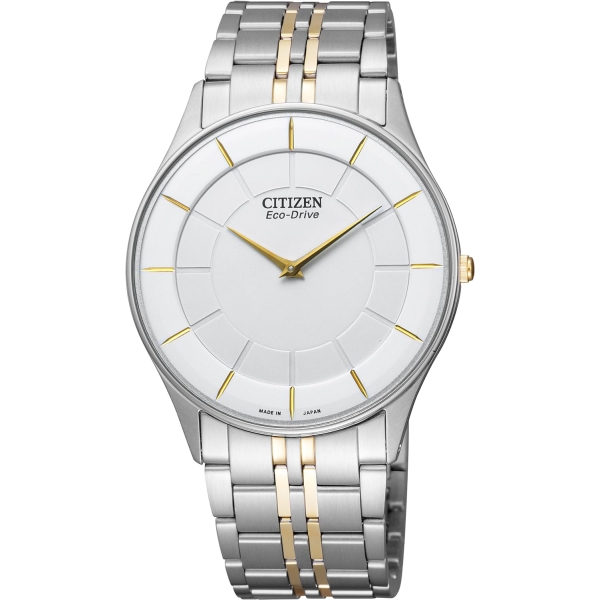 CITIZEN CITIZEN collection Eco-Drive AR3014-56A Watch