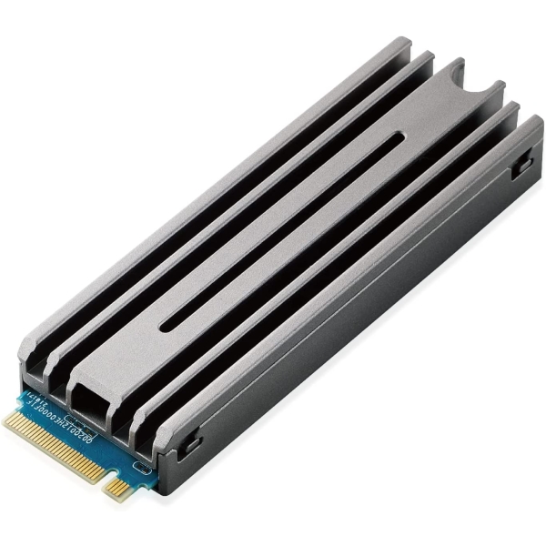 SSD ELECOM ESD-IPS1000G