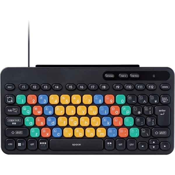 ELECOM KEY PALETTO TK-FS10UMKBK black Keyboard