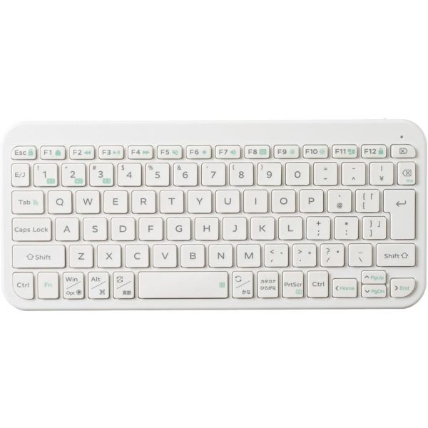 ELECOM Slint TK-TM10BPWH white Keyboard