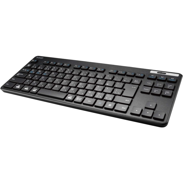 ELECOM TK-FBM119KBK/EC black Keyboard