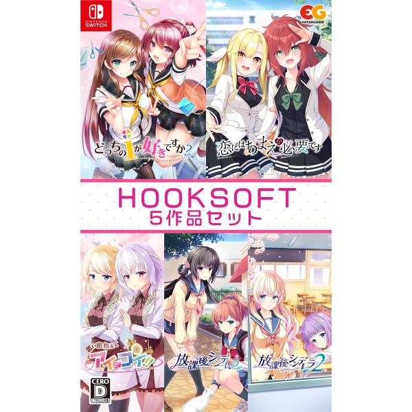 Entergram HOOKSOFT 5 work set Nintendo Switch