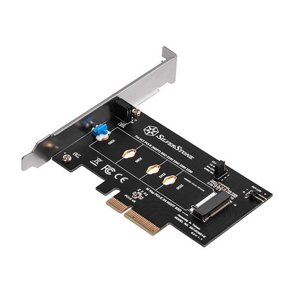 Interface Card SILVERSTONE SST-ECM21-E M.2