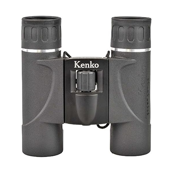 Healthy 10x24 DH SG Binocular - image 2