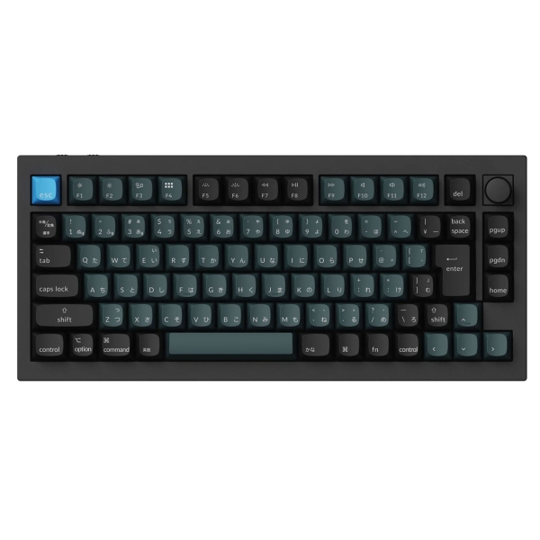 Keychron Q1P-M3-JIS tea axis carbon black Keyboard