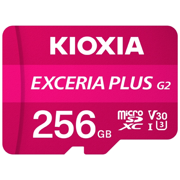 Kioxia EXCERIA PLUS G2 KMUH-B256G 256GB Card