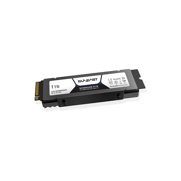 Kyokuto Electronics SUNEAST SE900NVG55-01TB SSD