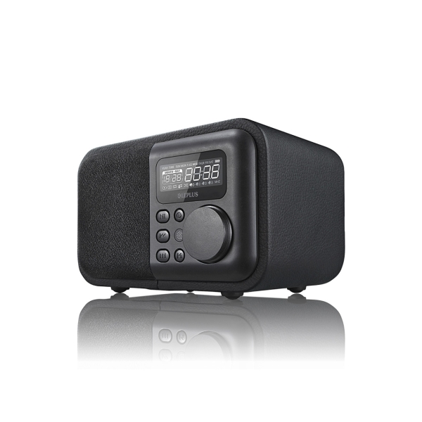 Bluetooth Speaker MS Solutions LEPLUS LP-SPBT02BK Black Leather