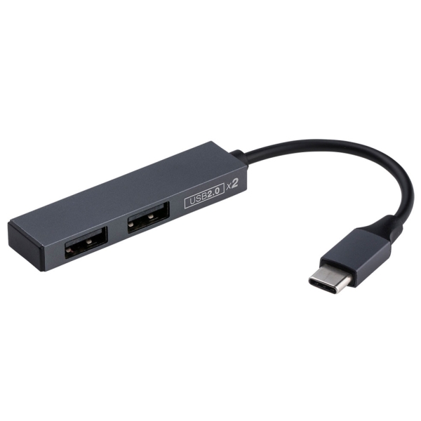 NAKABAYASHI Digio2 UH-C2562GY gray USB Hub