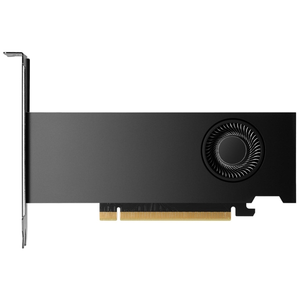 NVIDIA NVIDIA RTX 2000 Ada generation 900-5G192-2541-000 PCIExp 16GB Graphic Card