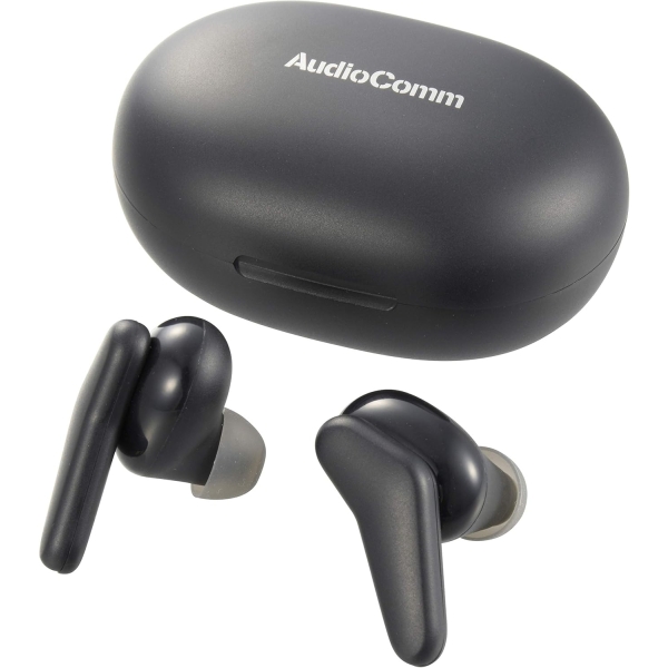 OHM ELECTRIC AudioComm HP-W400N Earphone Headphone