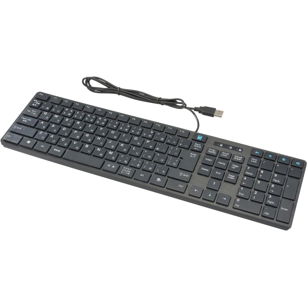 Ohm Electric PC-SKC41-K Black Keyboard