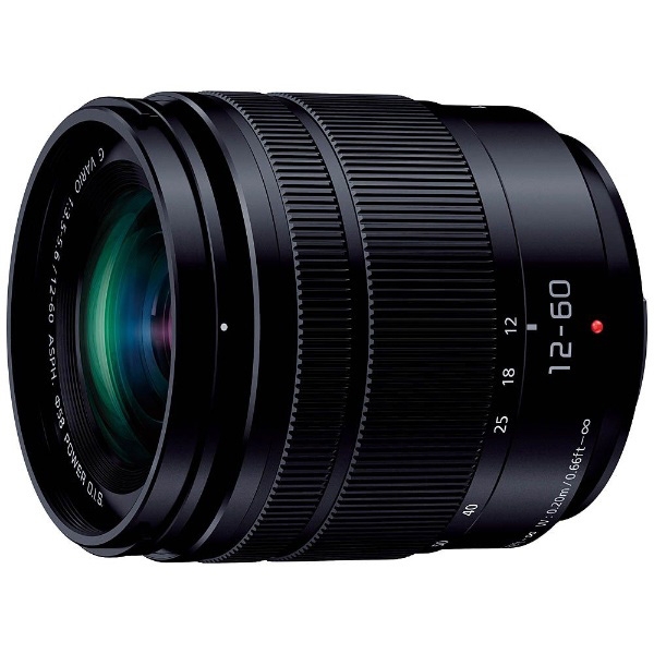 Lens Panasonic LUMIX G VARIO 12-60mm/F3 .5-5.6 ASPH./POWER O.I.S. H-FS12060 Camera Lense