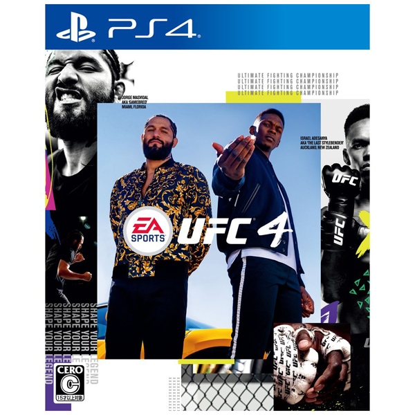 Playstation 4 EA Sports UFC 4 PS4 Game