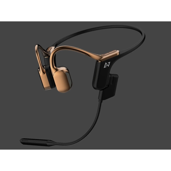 Preseed Japan AVIOT Openpiece Elite WB-E1M-GL bronze gold Earphone Headphone