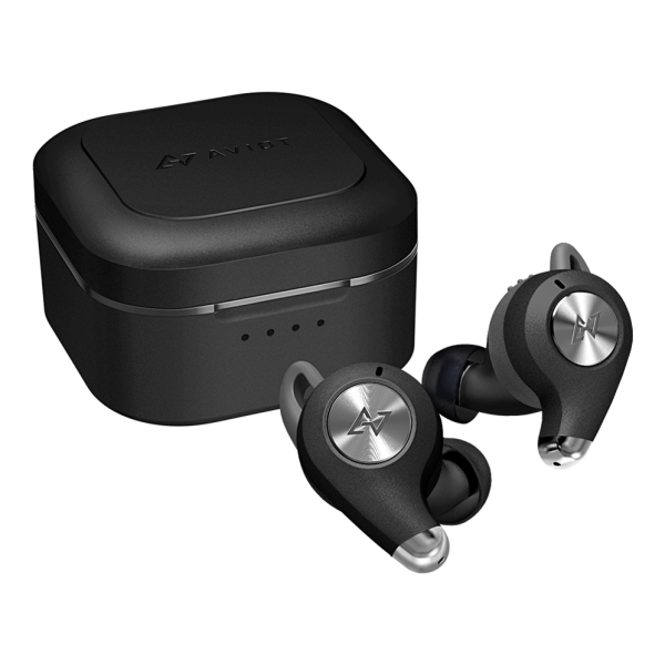 Preseed Japan AVIOT TE-D01q-BK black onyx Earphone Headphone