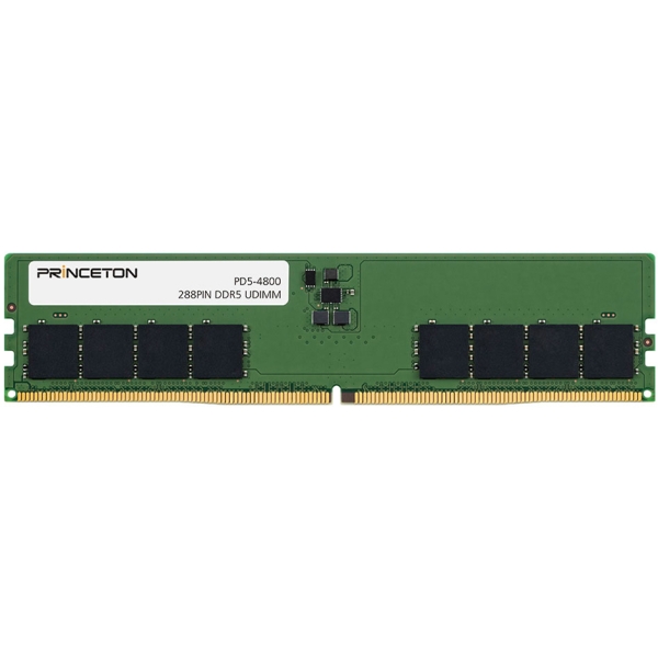 Princeton 2x PD5-4800-16GX2 DDR5 PC5-38400 16GB Memory