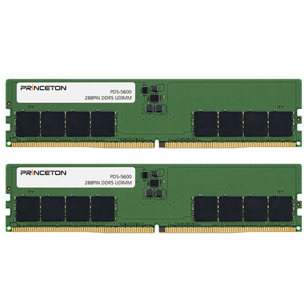 Princeton PD5-5600-16GX2 DDR5 PC5-44800 16GB x2 Memory