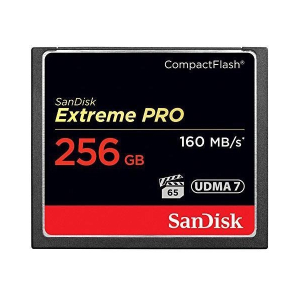 SANDISK SDCFXPS256GX46 256GB Cfast