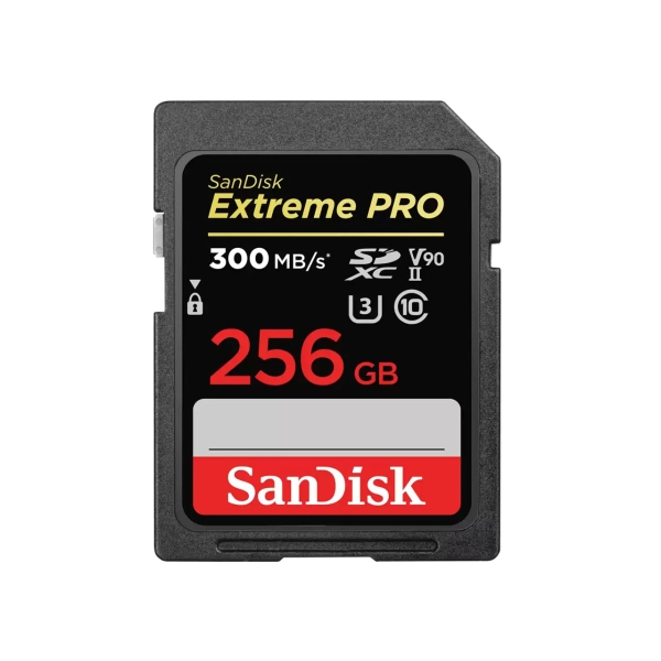 SANDISK SDSDXDK-256G-GN4IN 256GB SD Card