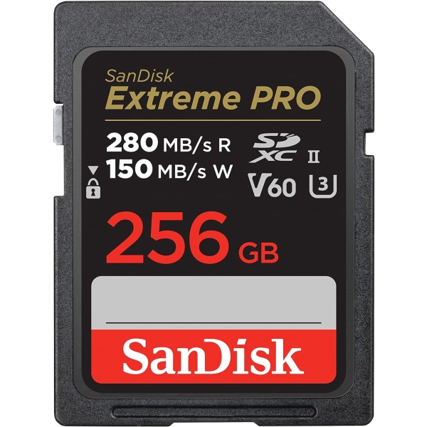 SANDISK SDSDXEP-256G-GN4IN 256GB Card