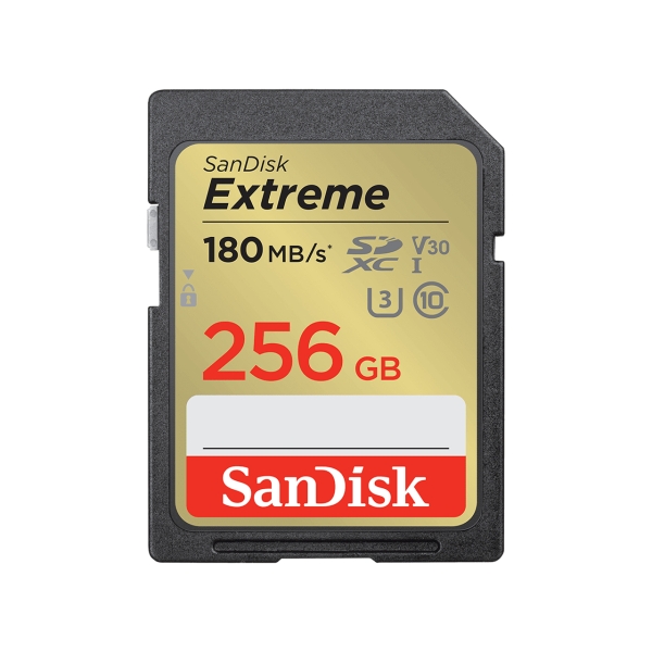 SANDISK SDSDXVV-256G-GNCIN 256GB SD Card