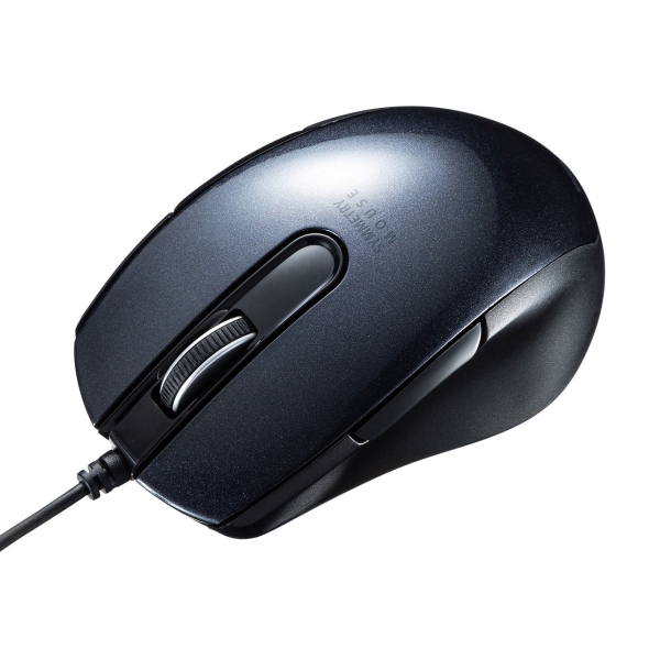 Mouse Sanwa Supply MA-BL172BK Black Mouse