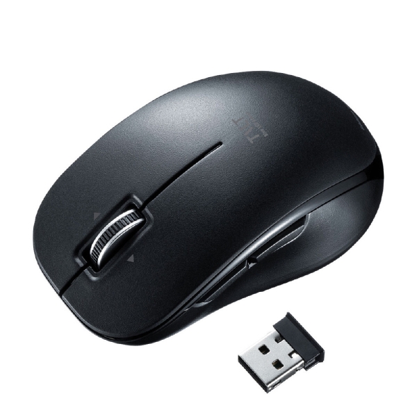 Mouse Sanwa Supply MA-WBL189BK Black Mouse