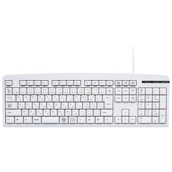 Keyboard Sanwa Supply SKB-109LUN Ivory