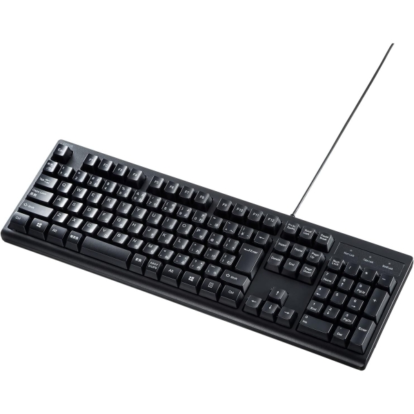 Sanwa Supply SKB-109PBK black Keyboard