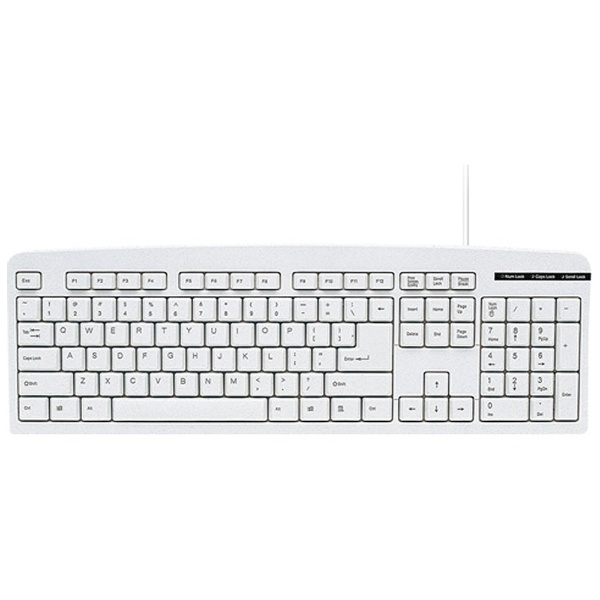 Keyboard Sanwa Supply SKB-E1PN Light Gray