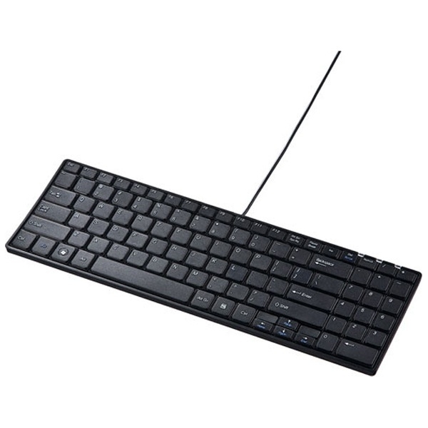 Keyboard Sanwa Supply SKB-E2U black