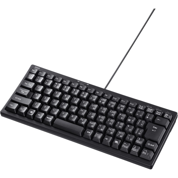 Sanwa Supply SKB-KG3UH2BK Keyboard