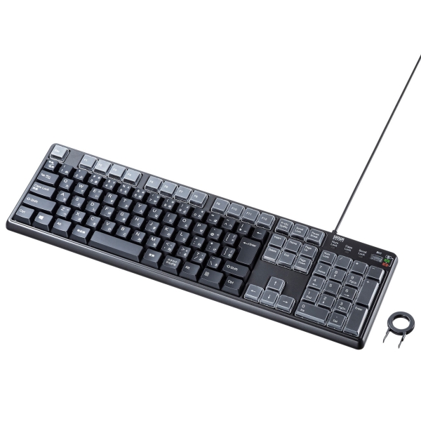 SANWA SUPPLY SKB-P1BK Keyboard