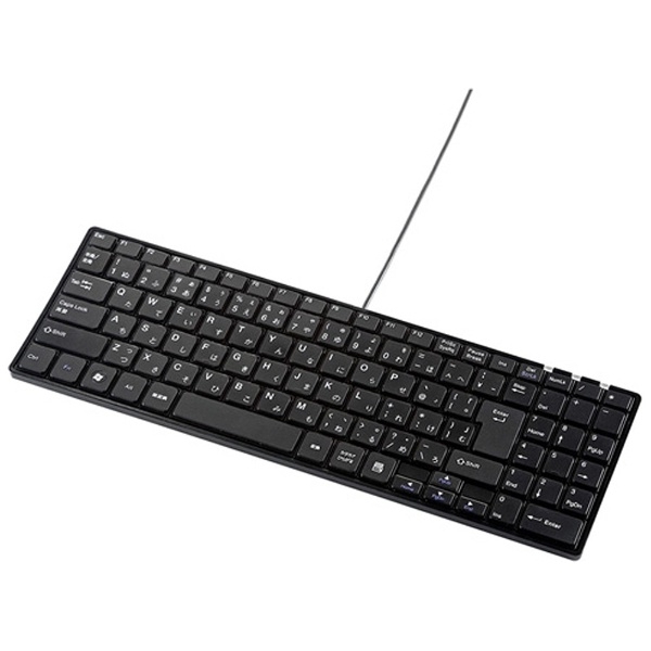 Keyboard Sanwa Supply SKB-SL19BK Black